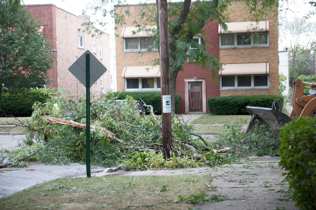 Winter Storm Response: Dealing with Downed Trees Safely and Efficiently