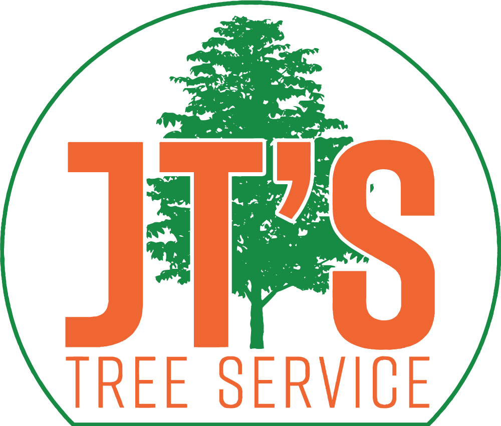 JT's Trees