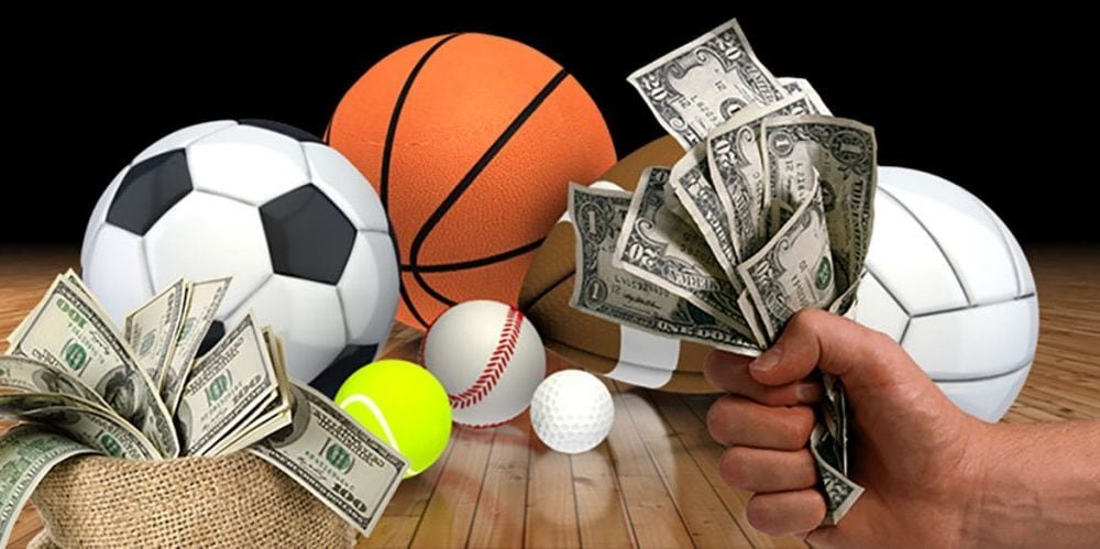 Discover Betwinner Your Go-To Sports Betting Platform Discover Betwinner Your Go-To Sports Betting Platform